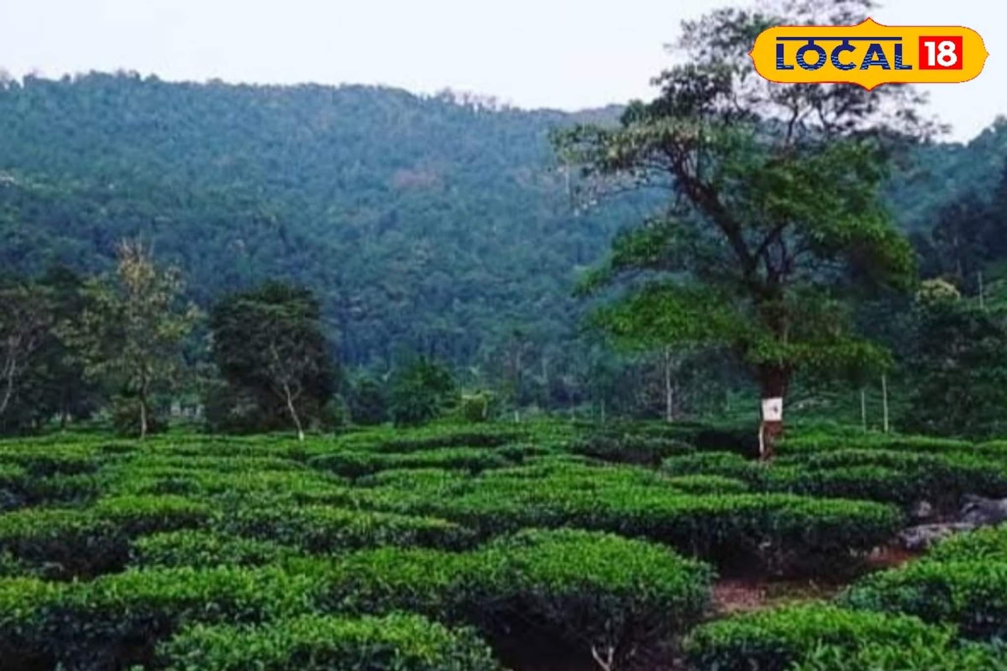 শীতের ইনিংস কিন্তু ফিনিশ নয়, মাঘেই জেলায়-জেলায় বৃষ্টির অ্যালার্ট, লেটেস্ট ওয়েদার আপডেট