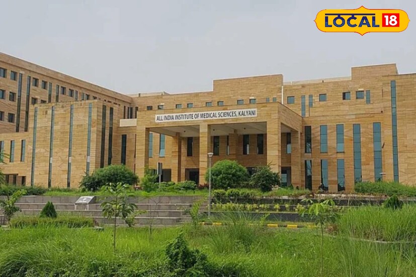 নদিয়া জেলার কল্যাণীতে অবস্থিত অল ইন্ডিয়া ইনস্টিটিউট অব মেডিক্যাল সায়েন্সেস (এইমস কল্যাণী) তে প্রতিদিন বহু মানুষ উন্নত চিকিৎসা পরিষেবার জন্য ভিড় জমাচ্ছেন। নদিয়া জেলার কল্যাণীতে অবস্থিত অল ইন্ডিয়া ইনস্টিটিউট অব মেডিক্যাল সায়েন্সেস (এইমস কল্যাণী) তে প্রতিদিন বহু মানুষ উন্নত চিকিৎসা পরিষেবার জন্য ভিড় জমাচ্ছেন।