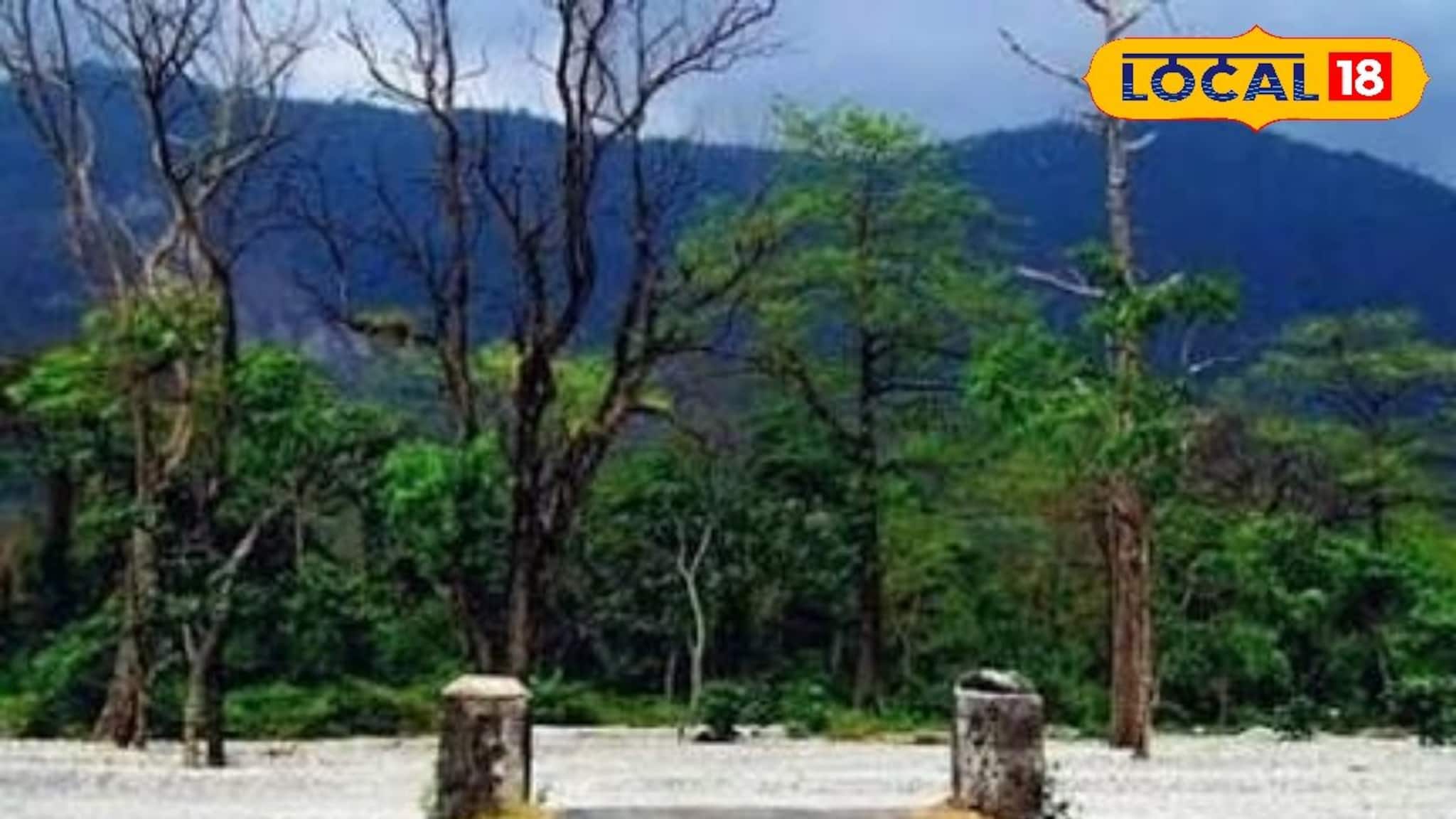 Picnic: শীতের শেষবেলায় অফবিট পিকনিক স্পট খুঁজছেন? আপনার জন্য রইল পাহাড় ঘেরা সেরা ঠিকানা