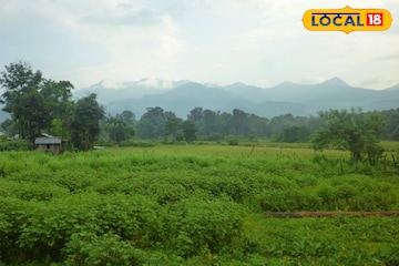 জেলায়-জেলায় বৃষ্টি-তুষারপাতের অ্যালার্ট, ফের জাঁকিয়ে ঠান্ডা, রইল ওয়েদার আপডেট জেলায়-জেলায় বৃষ্টি-তুষারপাতের অ্যালার্ট, ফের জাঁকিয়ে ঠান্ডা, রইল ওয়েদার আপডেট