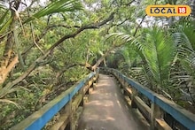 Weekend Trip: হাতে মাত্র একদিন সময়? রাজবাড়ি থেকে 'মিনি সুন্দরবন'— মাত্র কয়েকশ টাকায় ঘুরে আসুন কলকাতার একদম কাছের এই শহর থেকে