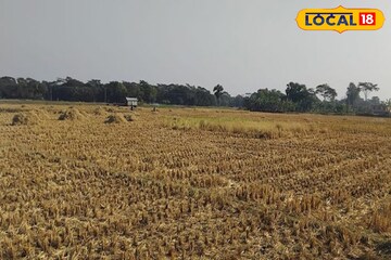 জমি কেনার পরিকল্পনা? বছরের কোন তারিখগুলি শুভ আর কখন কিনবেন না, জেনে নিন