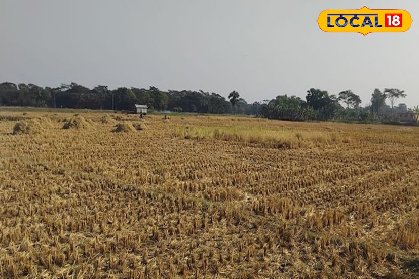 বীরভূম,সৌভিক রায়: প্রত্যেকের জীবনে নিজস্ব বাড়ি করার ইচ্ছা থাকে। আর নিজের বাড়ি করতে গেলে তার আগে প্রয়োজন নিজের একটি জমি কেনার। তবে অনেকেই বুঝতে পারেন না ঠিক কোন সময় আর কোন দিনে জমি কিনলে শুভ লগ্ন হয়ে থাকে। আর এই বিষয়ে আমাদের জানিয়েছেন বিশিষ্ট বস্তুশাস্ত্র বিশেষজ্ঞ বীরভূমের নলহাটির নলহাটেশ্বরী মন্দিরের সেবায়ত পুলক মুখার্জি। (ছবি ও তথ্য: সৌভিক রায়)