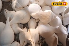 East Medinipur News: পেটে ভাত জোটাতে হিমশিম থেতে হয়! তবু আজও নিজেদের ঐতিহ্য টিকিয়ে রেখেছে পটাশপুরের শাঁখারিপাড়া