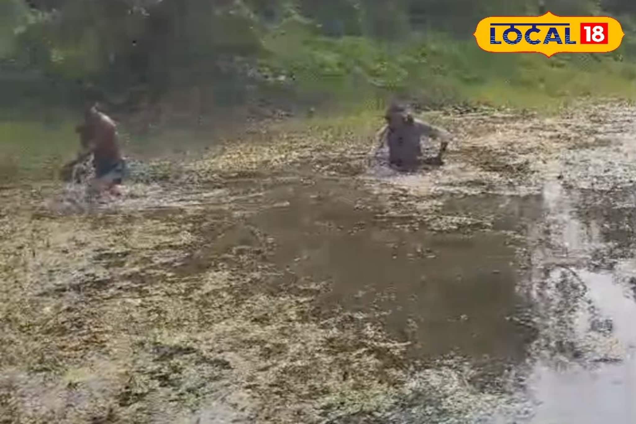 'কাজে যাচ্ছি বলে বেরিয়েছিল, আর ফিরল না', ক্যানিংয়ের পুকুরে উদ্ধার যুবকের ক্ষতবিক্ষত দেহ!