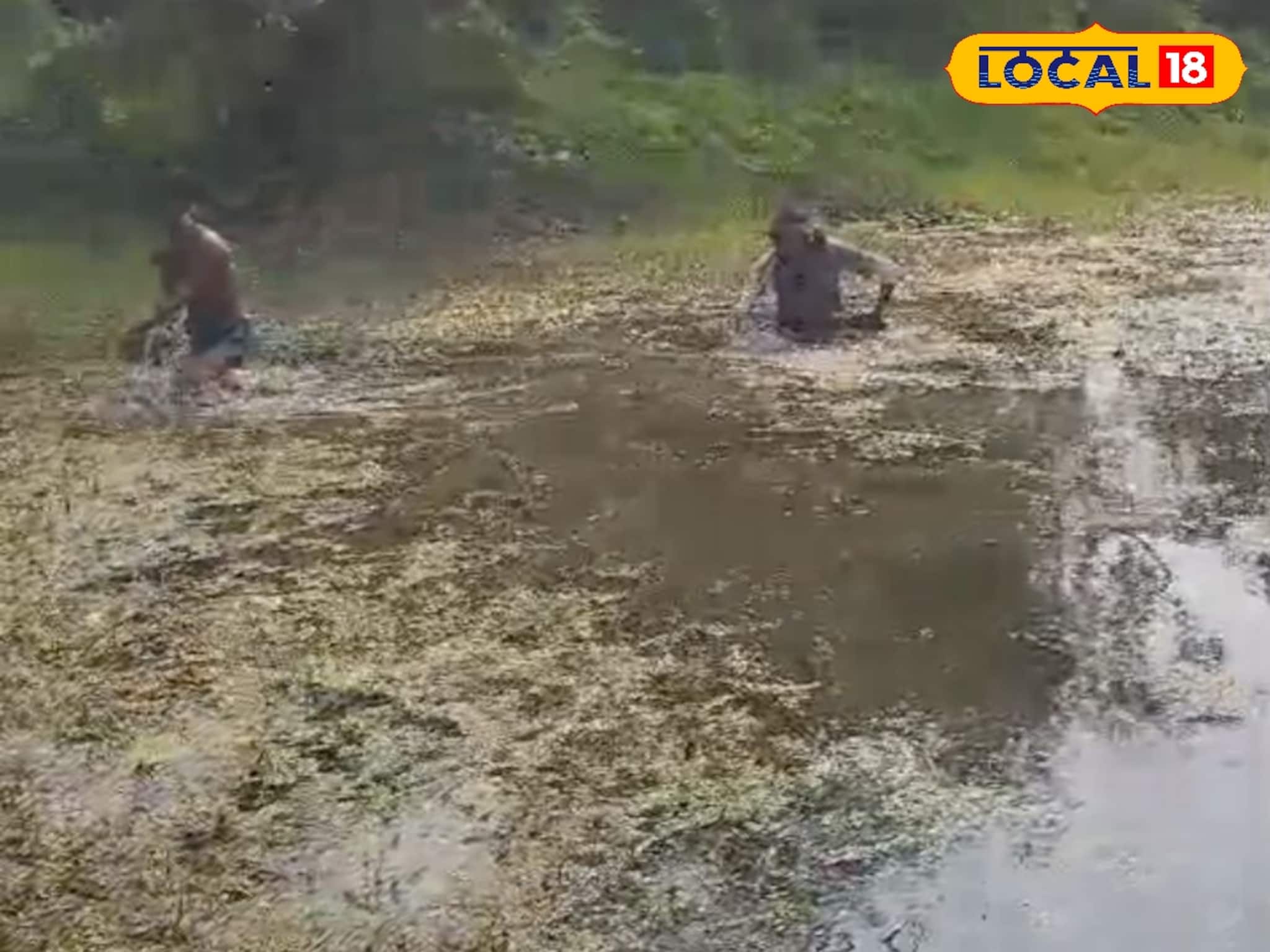 'কাজে যাচ্ছি বলে বেরিয়েছিল, আর ফিরল না', ক্যানিংয়ের পুকুরে উদ্ধার যুবকের ক্ষতবিক্ষত দেহ! 'কাজে যাচ্ছি বলে বেরিয়েছিল, আর ফিরল না', ক্যানিংয়ের পুকুরে উদ্ধার যুবকের ক্ষতবিক্ষত দেহ!