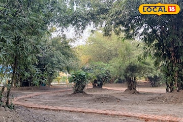 নয়নাভিরাম ছবি, সরু আঁকাবাঁকা পথ... হাওড়ার বোটানিক্যাল গার্ডেনে নয়া আকর্ষণ এই বাঁশবাগান নয়নাভিরাম ছবি, সরু আঁকাবাঁকা পথ... হাওড়ার বোটানিক্যাল গার্ডেনে নয়া আকর্ষণ এই বাঁশবাগান