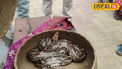 ট্রেনের মধ্যে ময়াল উদ্ধার