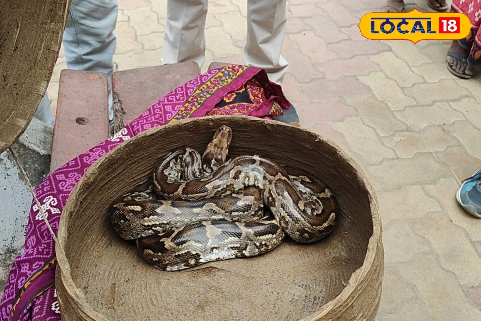 ট্রেনের মধ্যে ওগুলো কী! এত ভয়ঙ্কর শব্দ কেন? ঝাঁপি খুলতেই যা পেল জিআরপি, শুনে শিউরে উঠবেন