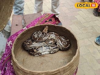 ট্রেনের মধ্যে ওগুলো কী! এত ভয়ঙ্কর শব্দ কেন? ঝাঁপি খুলতেই যা পেল জিআরপি, শুনে শিউরে উঠবেন