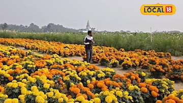 ঘোষবাড়ি