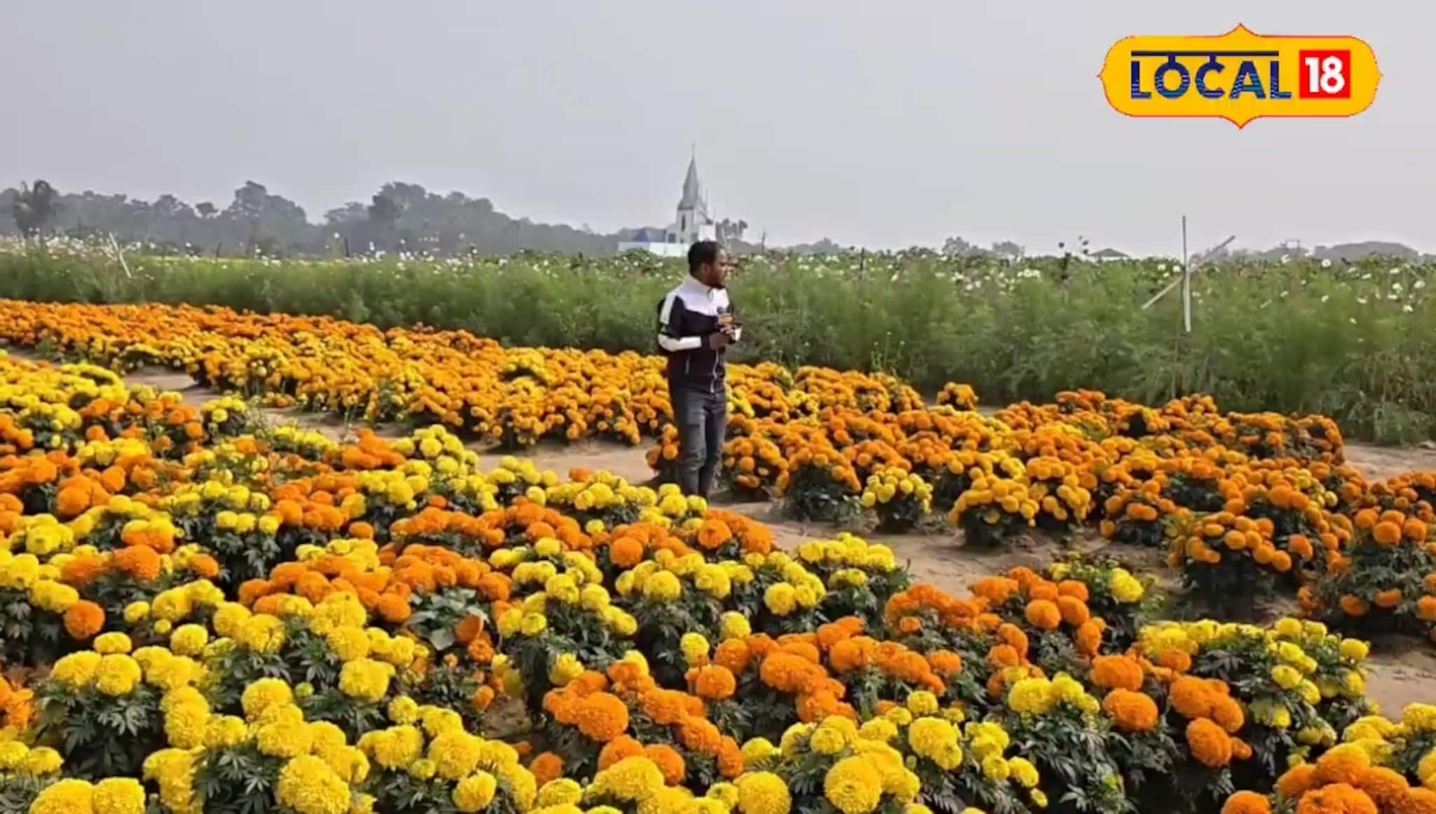 বসিরহাটে ফুলের উপত্যকা! ঘুরে আসুন রঙিন ফুলের সমারোহে