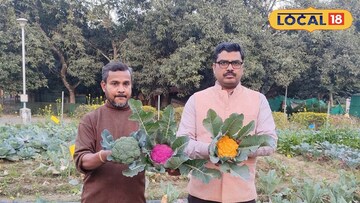 মালদহের