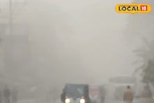 How Far Spring Is: বসন্ত দরজায় নাকি আরও কয়েকদিন শীতের দাপট, জেনে নিন লেটেস্ট আপডেট