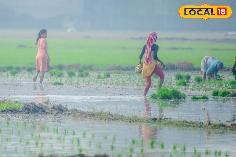 দিনভর মেঘলা আকাশ। বাড়বে তাপমাত্রা। তেমনই পূর্বাভাস হাওয়া অফিসের। এখনই শীতের আনুষ্ঠানিক বিদায় পর্ব ঘোষণা করেনি হাওয়া অফিস। তবে প্রতিদিনই বাড়ছে সর্বনিম্ন তাপমাত্রা। দক্ষিণবঙ্গ জুড়ে উষ্ণ আবহাওয়া। (ছবি ও তথ্য সৈকত শী)