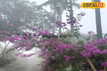 আগামী ২৪ ঘণ্টায় বিরাট ভোলবদল...! মাঘী পূর্ণিমার দিন কেমন থাকবে  আবহাওয়া? জেনে নিন