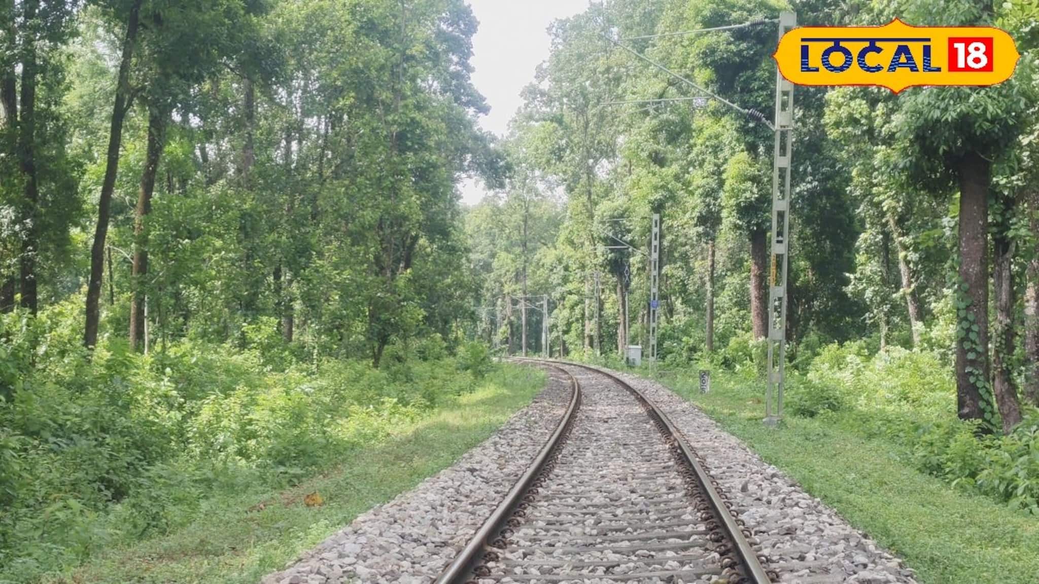 Indian Railways: Indian Railways: ভারত-ভুটান যোগাযোগ মজবুত করতে ডুয়ার্সে নতুন রেলপথ, পর্যটন ও সামরিক পরিবহণে বড় সুবিধার আশা