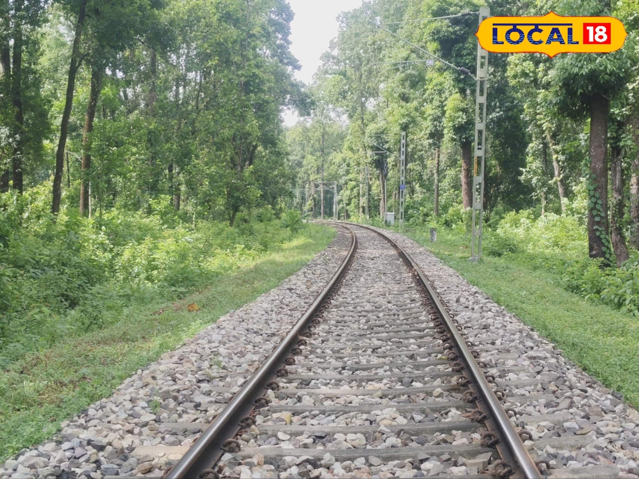 ভারত-ভুটান যোগাযোগ মজবুত করতে ডুয়ার্সে নতুন রেলপথ, পর্যটন-সামরিক পরিবহণে বড় সুবিধার আশা