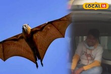 Nipah Virus: নিপা আক্রান্ত পুরুষ নার্স সুস্থ হয়ে ফিরলেন বাড়ি, তবু সতর্ক থাকার বার্তা