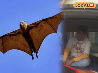 নিপা ভাইরাস