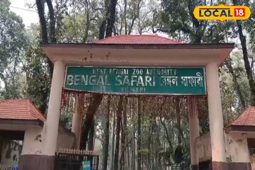 মাসখানেক নিখোঁজের পর কঙ্কালসার দেহ উদ্ধার! বেঙ্গল সাফারিতে আর দেখা যাবে না 'সুইটি'কে