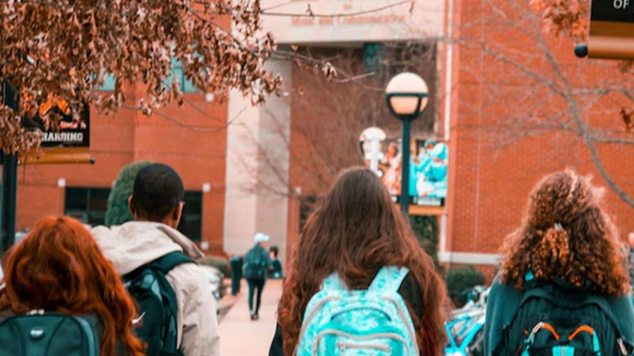 ‘ভারতেই থাকুন’ ! চাকরির অভাব ও ঋণের ঝুঁকির কথা উল্লেখ করে আয়ারল্যান্ডে পড়াশোনা করার বিষয়ে সতর্ক করলেন এক ভারতীয় প্রযুক্তিবিদ