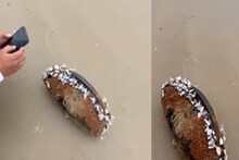 তিন মাস ধরে সমুদ্রে ভেসেছে ! আটকে থেকেছে কাদার ভিতরে, তবুও JBL স্পিকার থেকে গান বাজছিল