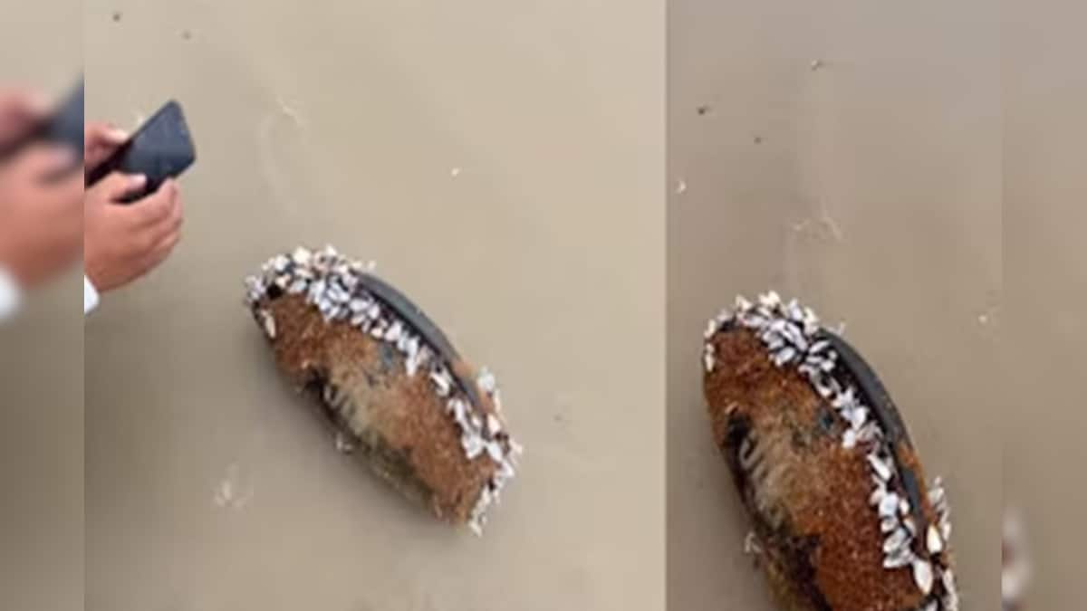 তিন মাস ধরে সমুদ্রে ভেসেছে ! আটকে থেকেছে কাদার ভিতরে, তবুও JBL স্পিকার থেকে গান বাজছিল তিন মাস ধরে সমুদ্রে ভেসেছে ! আটকে থেকেছে কাদার ভিতরে, তবুও JBL স্পিকার থেকে গান বাজছিল