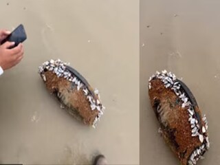 JBL স্পিকার থেকে গান বাজছিল (Photo: X)