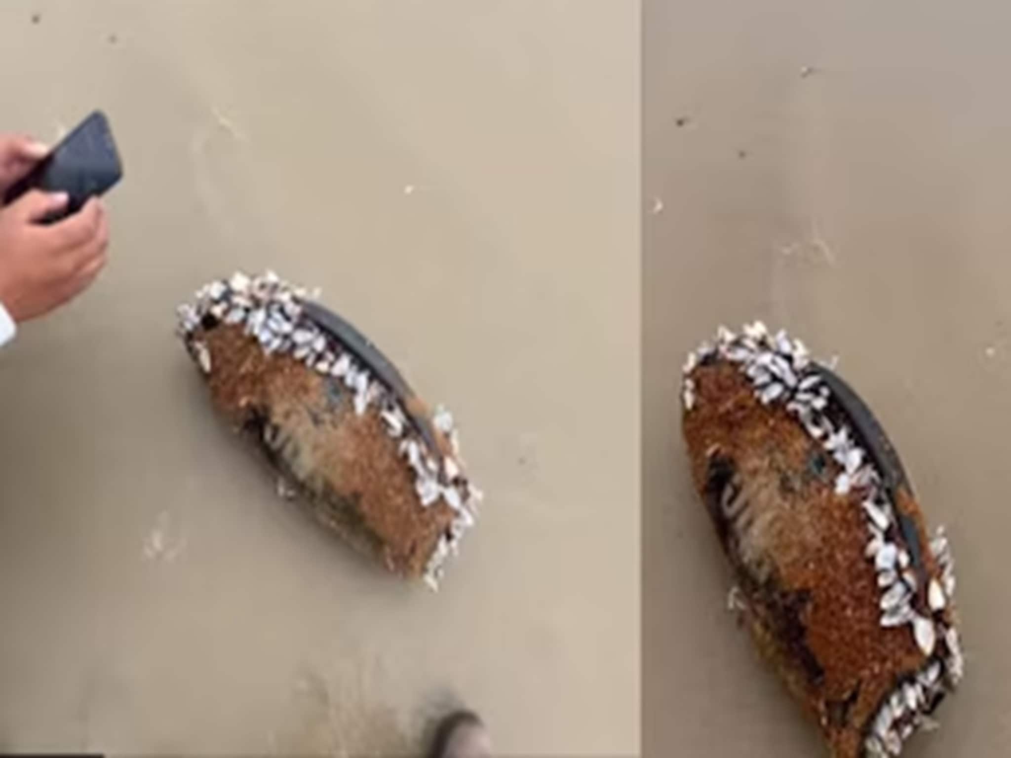 তিন মাস ধরে সমুদ্রে ভেসেছে ! আটকে থেকেছে কাদার ভিতরে, তবুও JBL স্পিকার থেকে গান বাজছিল