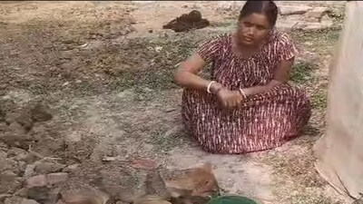 অসুস্থ শিয়ালের সাহায্যে গ্রামবাসীরা৷ 