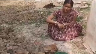 অসুস্থ শিয়ালের সাহায্যে গ্রামবাসীরা৷ 