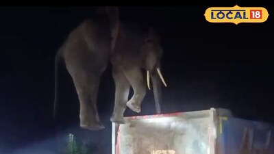 করলা ভ্যালি চা বাগানের গর্তে পড়ে যাওয়া হাতিকে উদ্ধার করা হল