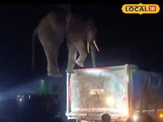 করলা ভ্যালি চা বাগানের গর্তে পড়ে যাওয়া হাতিকে উদ্ধার করা হল