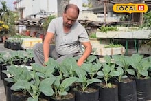 Rooftop Garden: বাজারে সবজির আগুন দাম! বাড়ির ছাদ বাগানেই ফলান টাটকা আনাজ, মিটবে ৮ মাসের চাহিদা, দিশা দেখাচ্ছেন জলপাইগুড়ির রাজু