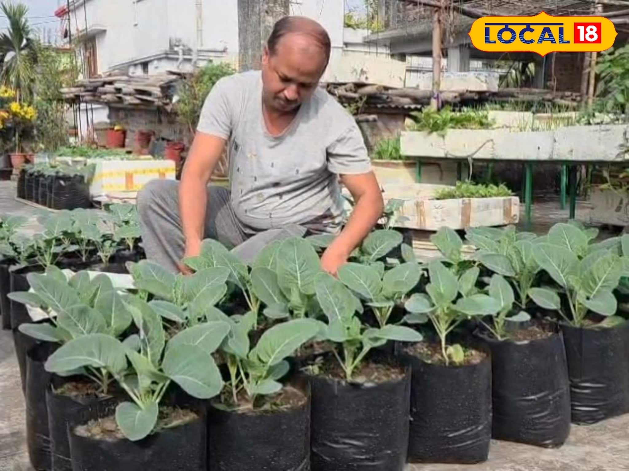বাজারে সবজির আগুন দাম! বাড়ির ছাদ বাগানেই ফলান টাটকা আনাজ, মিটবে ৮ মাসের চাহিদা