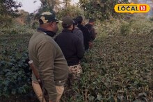 Wild Boar Attack: পেটের দায়ে চা বাগানে কাজে গিয়ে বেঘোরে প্রাণ গেল! অতর্কিতে ঝাঁপিয়ে পড়ল ভয়ালদর্শন বন্য শুয়োরের দল, পুরো ঘটনা জানলে শিউরে উঠবেন