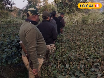 বন্য শুয়োরের আকস্মিক হামলায় প্রাণ গেল চা বাগান শ্রমিকের বন্য শুয়োরের আকস্মিক হামলায় প্রাণ গেল চা বাগান শ্রমিকের
