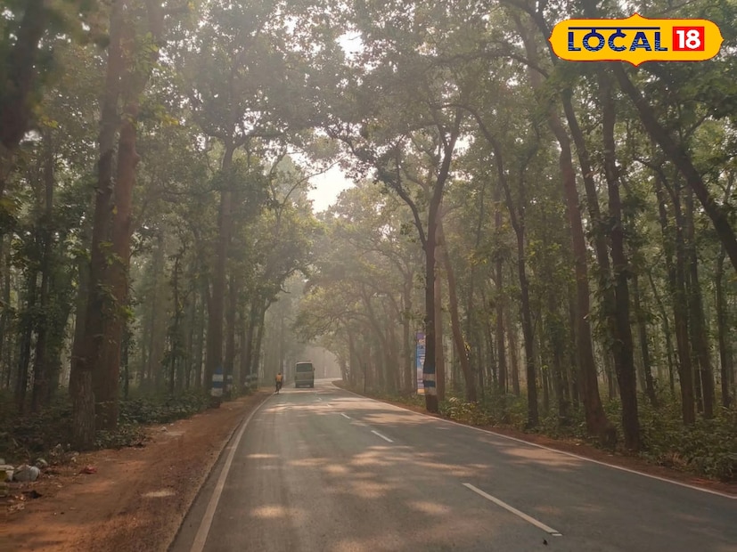 উত্তরবঙ্গের জেলাগুলির তুলনায় এখন দক্ষিণবঙ্গের জেলায় জেলায় সর্বনিম্ন তাপমাত্রার পারদ অনেকটাই কম রয়েছে। যেখানে বুধবার আলিপুরদুয়ারের সর্বনিম্ন তাপমাত্রা ১০ ডিগ্রি সেলসিয়াস, কালিম্পং এর সর্বনিম্ন তাপমাত্রা ৯.৫ ডিগ্রি সেলসিয়াস, সেই জায়গায় দক্ষিণবঙ্গের বেশ কিছু জেলার তাপমাত্রার পারদ নেমেছে ৬ থেকে ৯ ডিগ্রির মধ্যে। উত্তরবঙ্গের জেলাগুলির তুলনায় এখন দক্ষিণবঙ্গের জেলায় জেলায় সর্বনিম্ন তাপমাত্রার পারদ অনেকটাই কম রয়েছে। যেখানে বুধবার আলিপুরদুয়ারের সর্বনিম্ন তাপমাত্রা ১০ ডিগ্রি সেলসিয়াস, কালিম্পং এর সর্বনিম্ন তাপমাত্রা ৯.৫ ডিগ্রি সেলসিয়াস, সেই জায়গায় দক্ষিণবঙ্গের বেশ কিছু জেলার তাপমাত্রার পারদ নেমেছে ৬ থেকে ৯ ডিগ্রির মধ্যে।