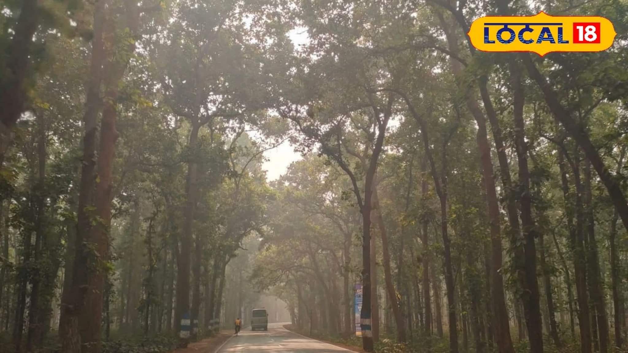 Jhargram Weather Forecast: আরও নামল পারদ, ফের কনকনে ঠান্ডার দাপট, জানুন কী হতে চলেছে ঝাড়গ্রামে! রইল আবহাওয়ার লেটেস্ট আপডেট