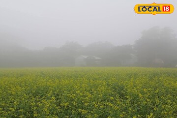 ১০-এর নিচে ঝাড়গ্রামের পারদ, তাপমাত্রা আরও নামবে পূর্বাভাস আবহাওয়া দফতরের