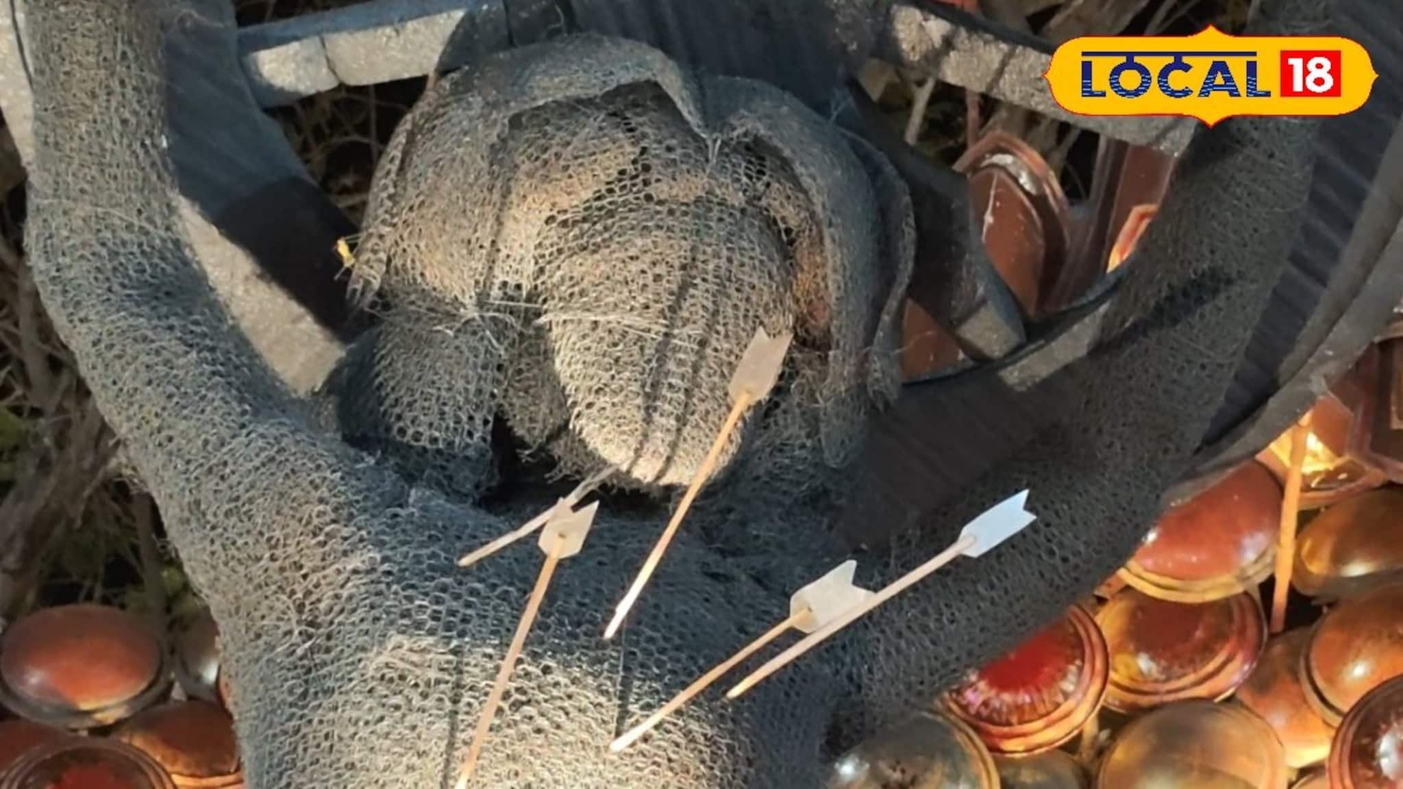 চোখের সামনে জলজ্যান্ত মহাভারতের যুদ্ধ! কুরুক্ষেত্রের আবহে নজরকাড়া সরস্বতী পুজো, দেখুন