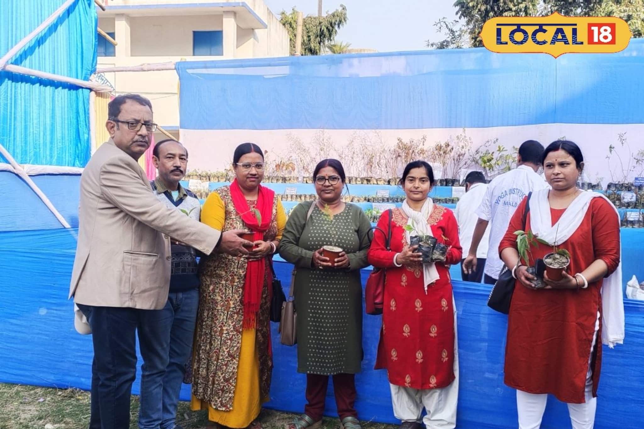 গাছেই লুকিয়ে রোগের শত্রু! বাড়িতেই হবে প্রতিরোধ, বিশেষ উপায় দেখালেন আয়ুর্বেদ চিকিৎসকরা