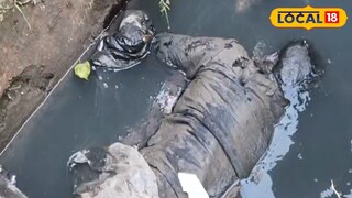 মালদহে নর্দমায় ভাসছে যুবকের দেহ