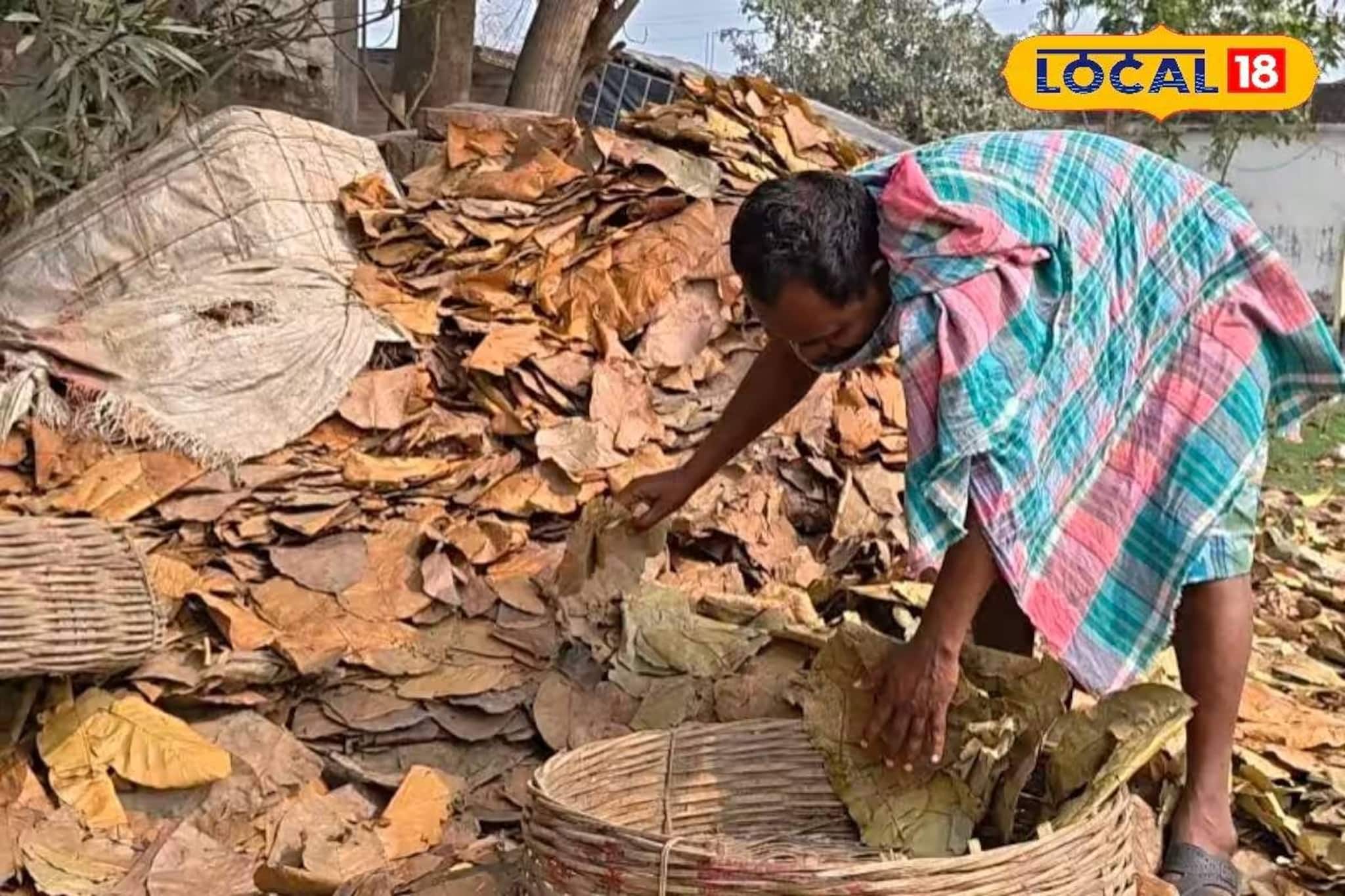শালপাতা দিয়ে 'এইসব' কাজ করছেন বহু মানুষ! একদিনেই হাতে আসছে ৩০০-৪০০ টাকা