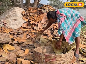 শালপাতা