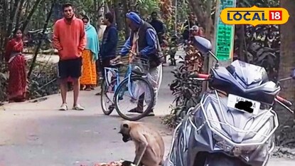 হনুমানের তাণ্ডব হনুমানের তাণ্ডব