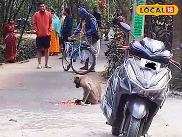 হনুমানের তাণ্ডব হনুমানের তাণ্ডব