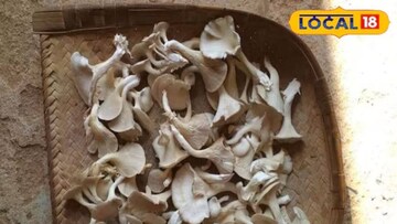 রাজ্যজুড়ে