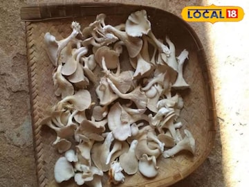 রাজ্যজুড়ে